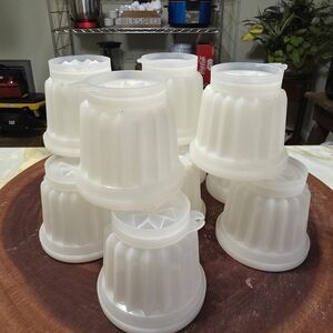Set of Tupperware White Plastic Molds
